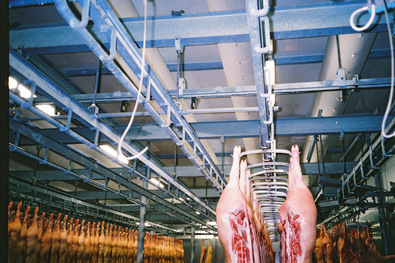 Industrial duct systems inside a Danish meat processing factory, CA