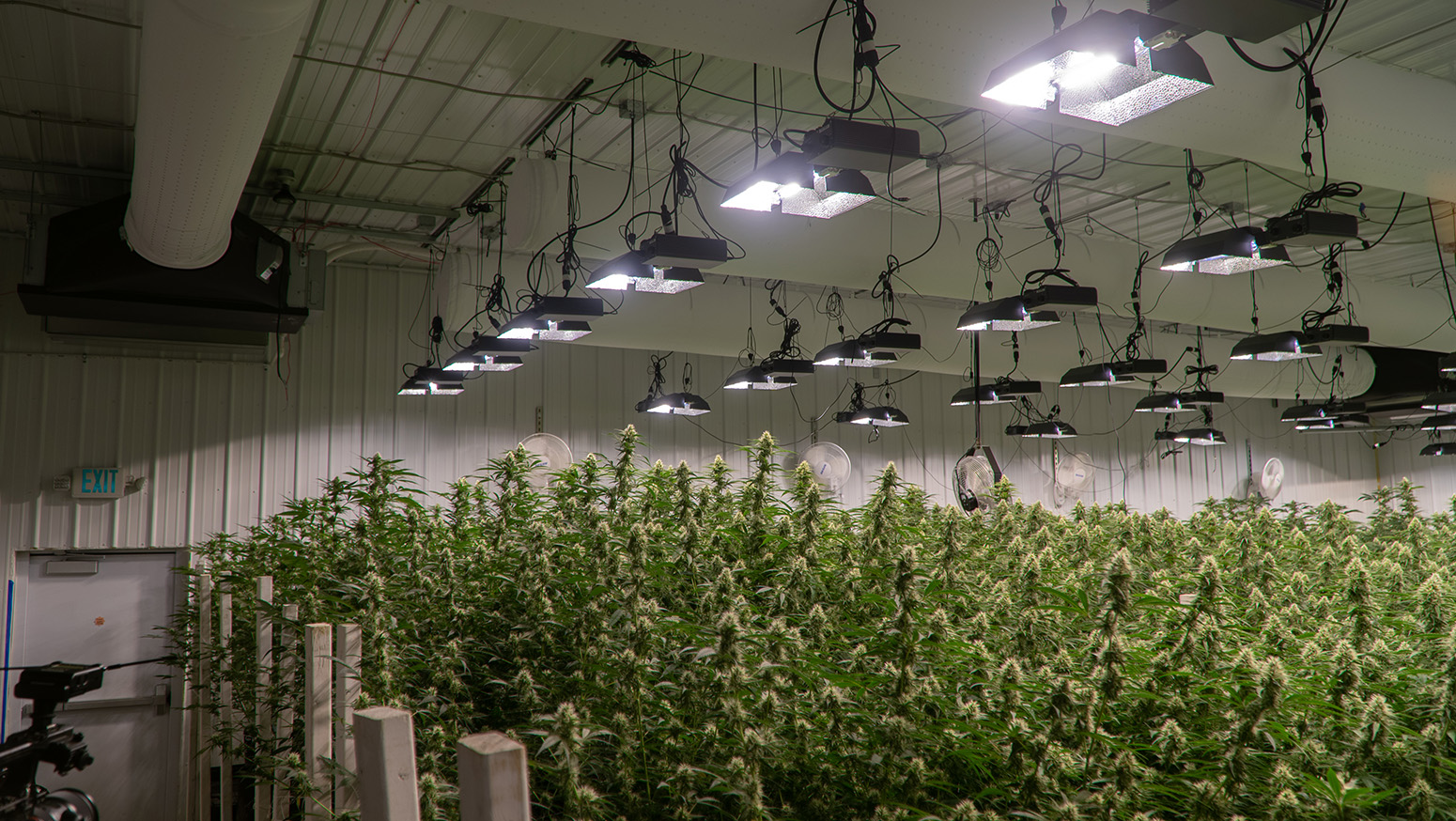 White duct systems installed in a cannabis grow facility, CA