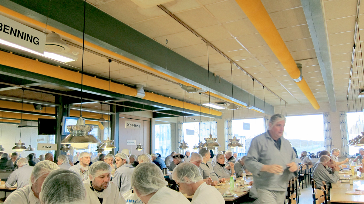 Yellow air ducts inside a cafeteria in Danish Crown factory, DK, 2