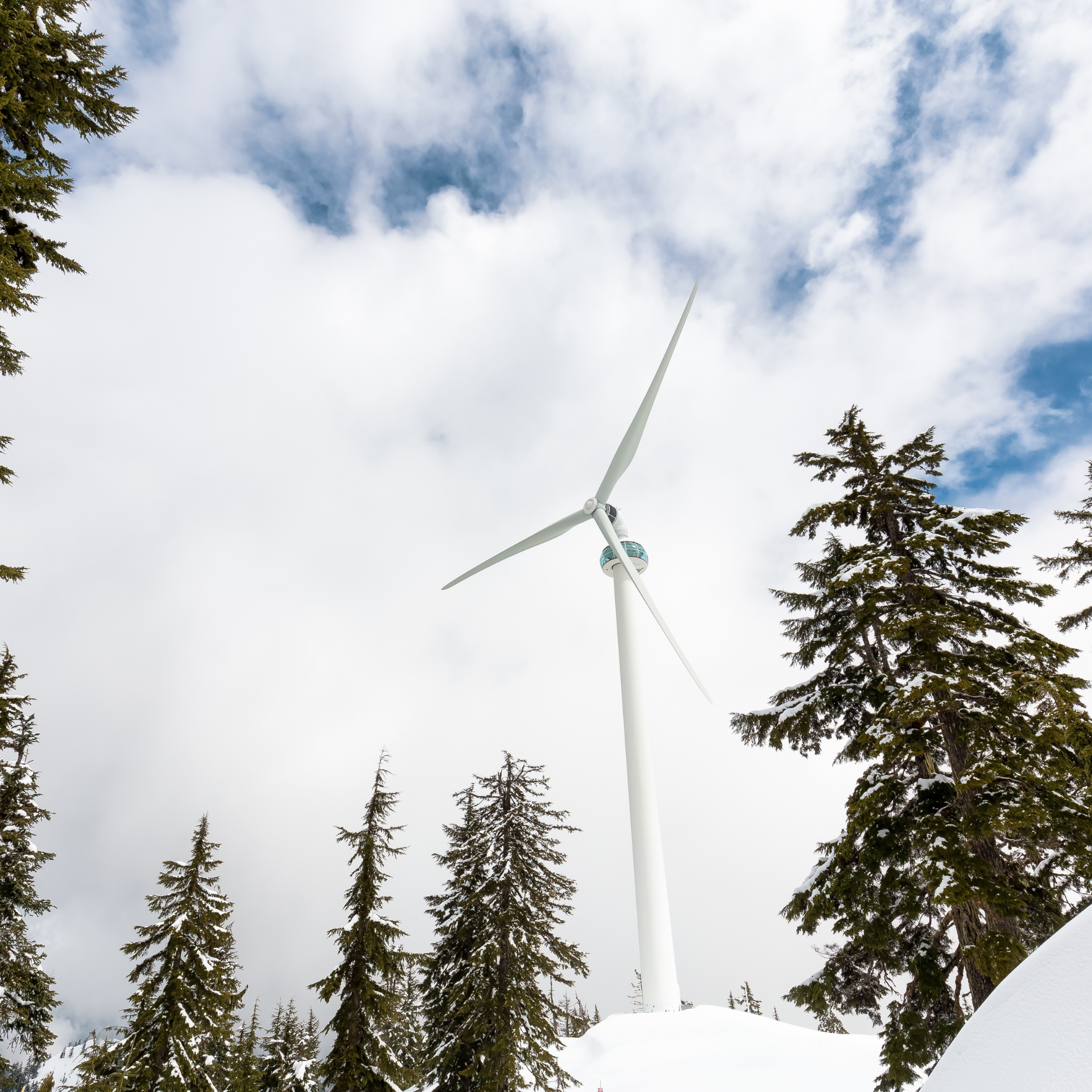 Wind turbine in a snowy forest