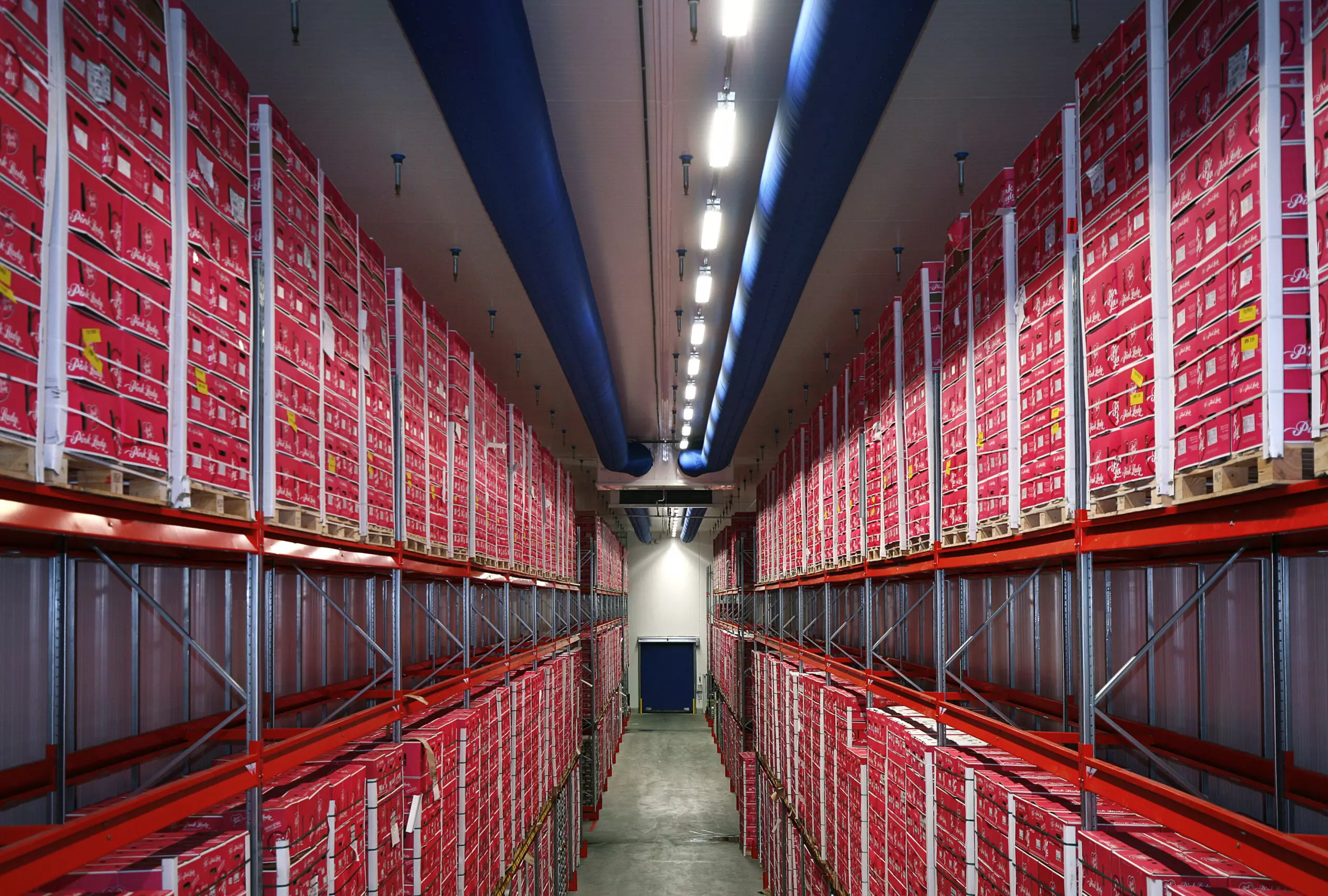 Blue duct systems installed in Total Produce warehouse, Ølby, DK, 2