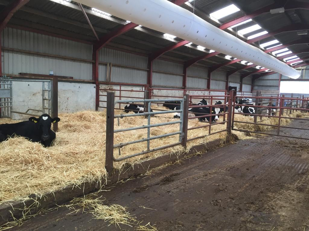 Textile Luftkanäle im landwirtschaftlichen Stall für gleichmäßige Luftverteilung