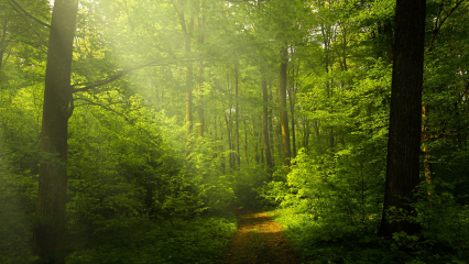 Sostenibilidad ambiental como base del HVAC sostenible con conductos textiles