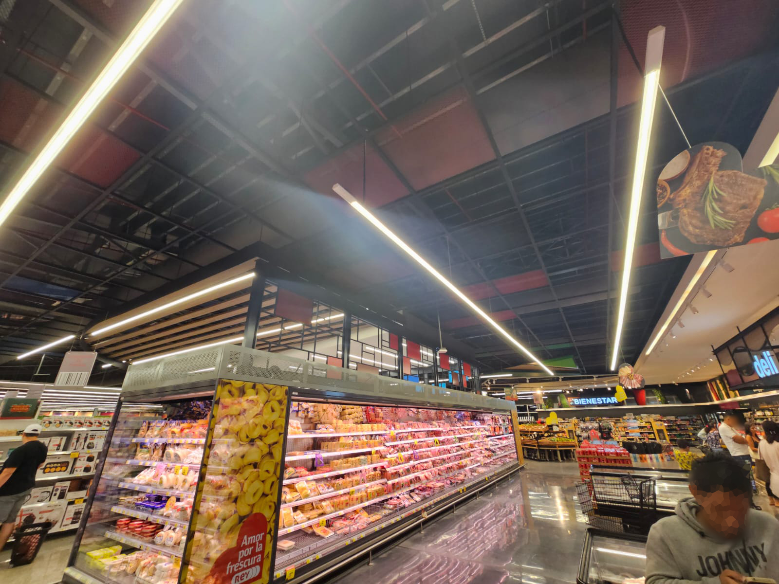 Rey del bosque Panamá