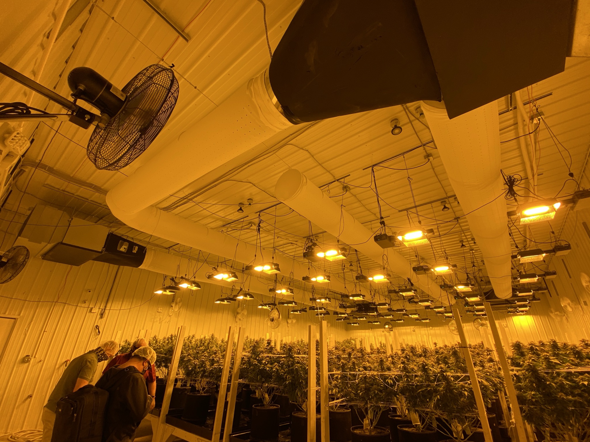 White air duct systems, also called ductwork systems, installed inside a canabbis plantation, Real Leaf Solutions, Kalkaska, Michigan, USA, 2