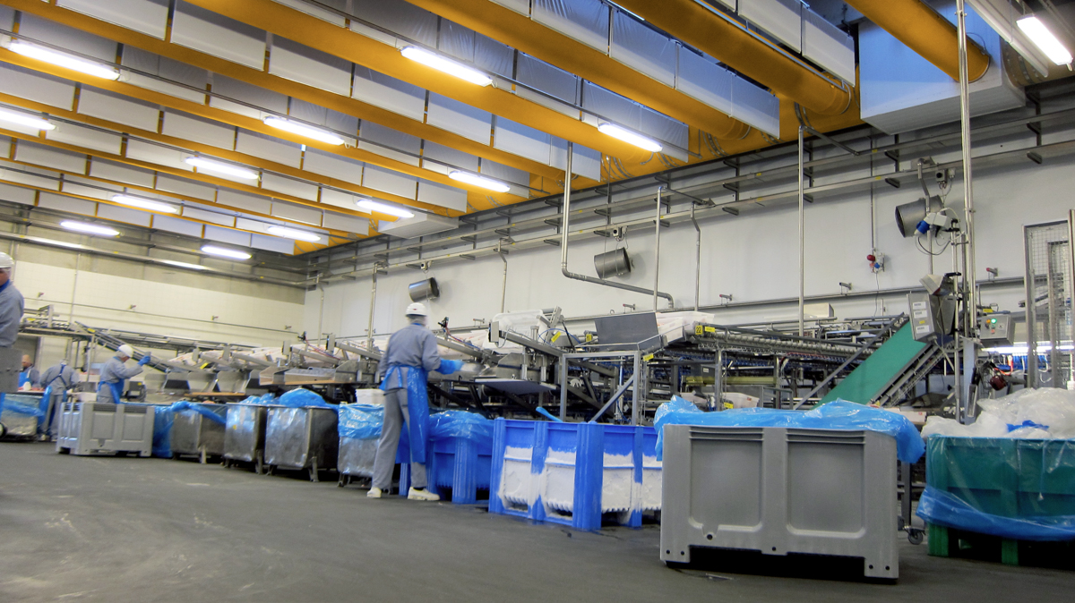 Orange air duct systems with industrial ventilation ducts installed inside a factory, Danish Crown, Denmark, 2