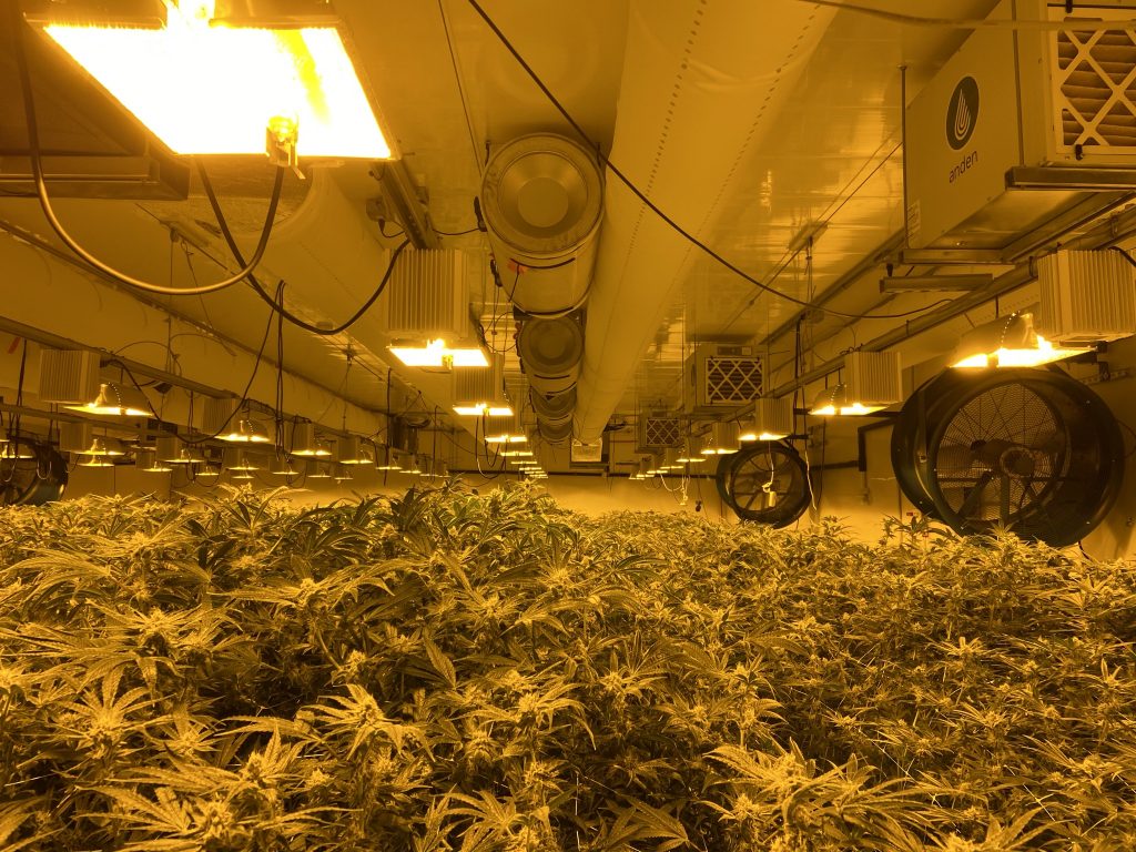 Air duct system in High Mountain cannabis farm, USA
