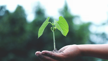 Fabric ducts installed in an experimental, sustainable vertical farming operation in Spain.