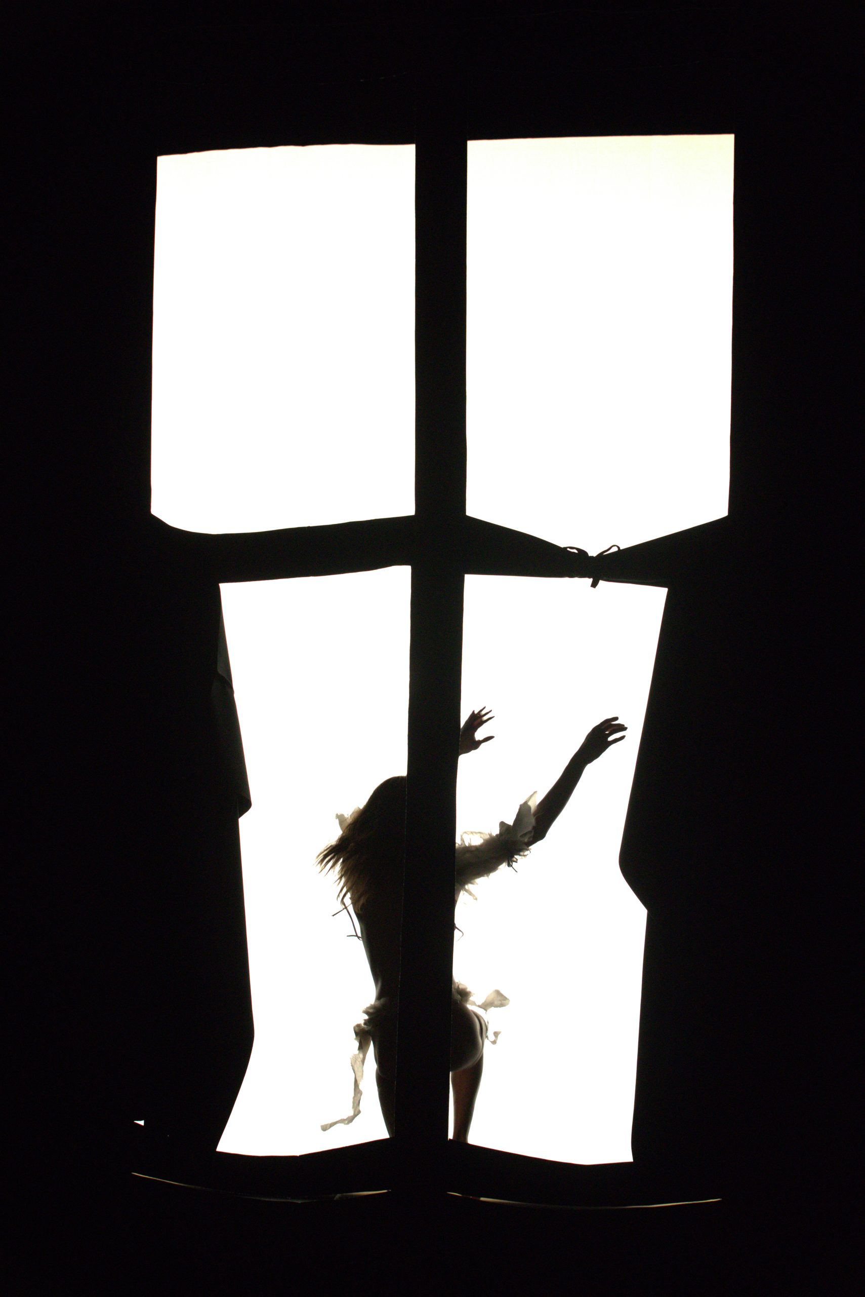 FabricAir ducts and textiles are utilized by artist, PRICE, in a performance in Zurich