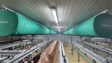 Vibrant green fabric duct system provides optimal ventilation for a leading meat processing facility in Moldova