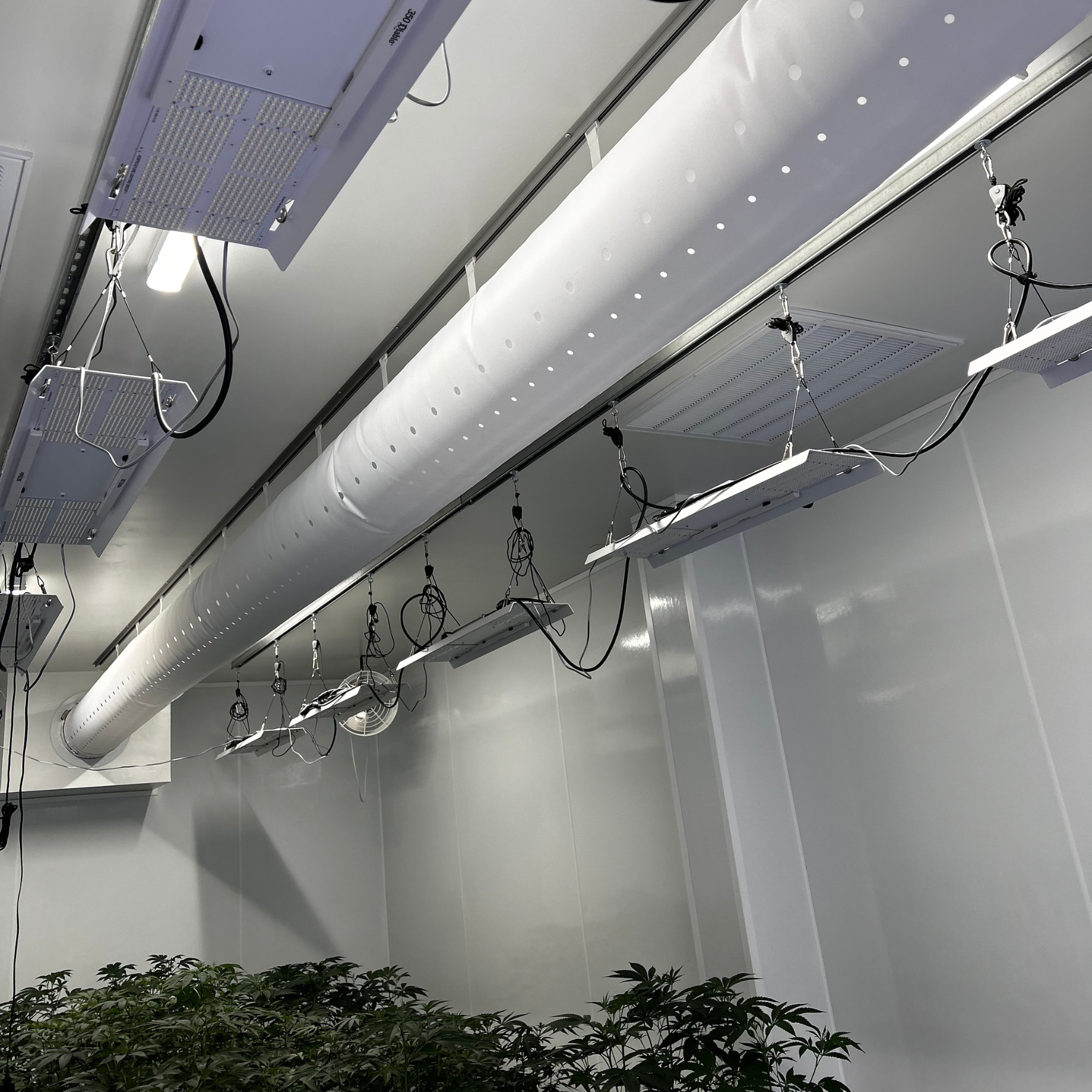 Fabric ducts provide overhead optimal air dispersion for the Moose Meadows cultivation facility