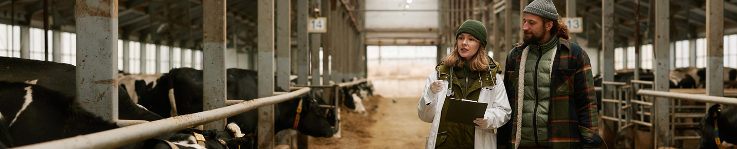 Ventilation solutions for dairy cow barns