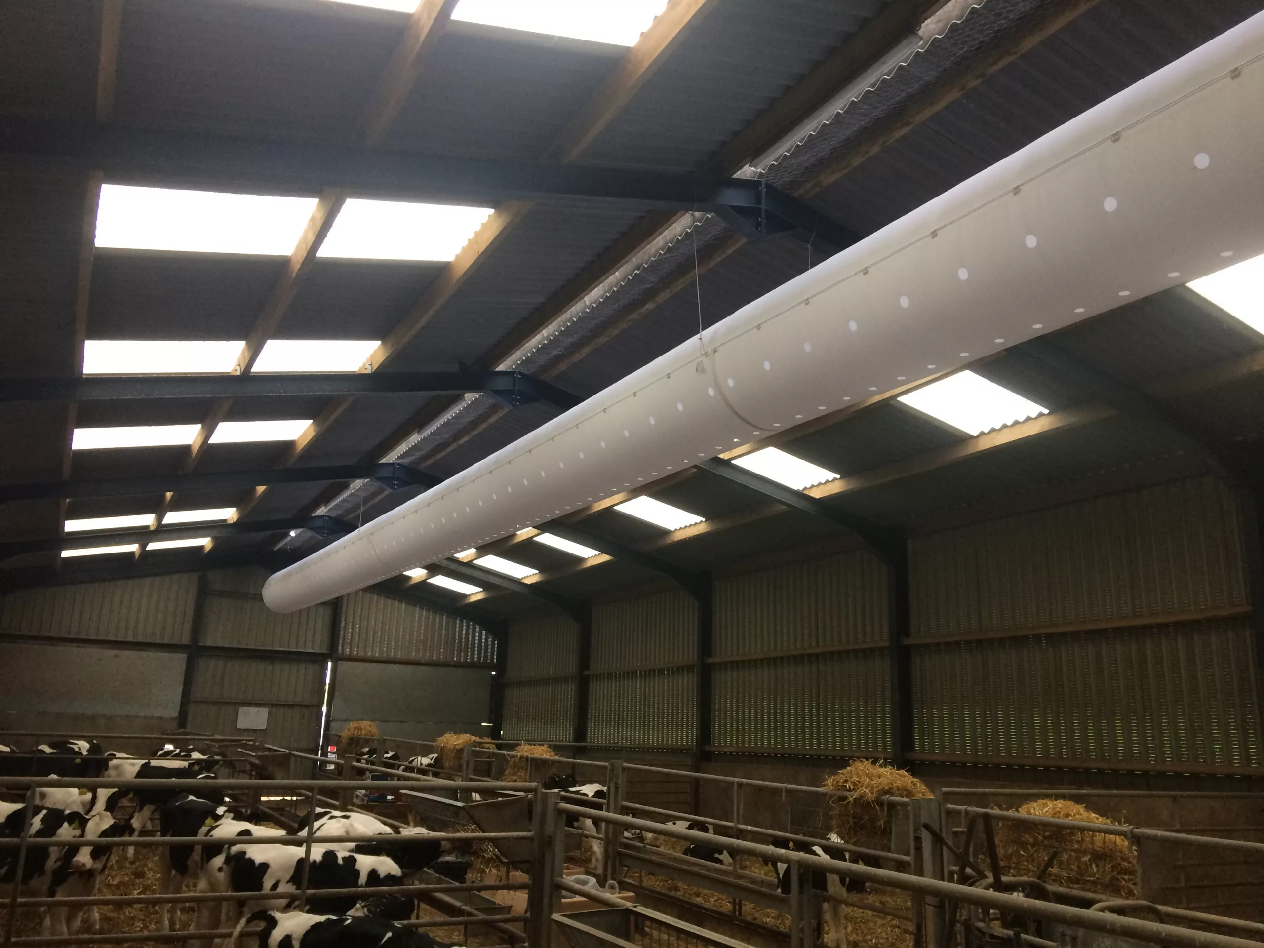 White fabric duct installed in cow farm