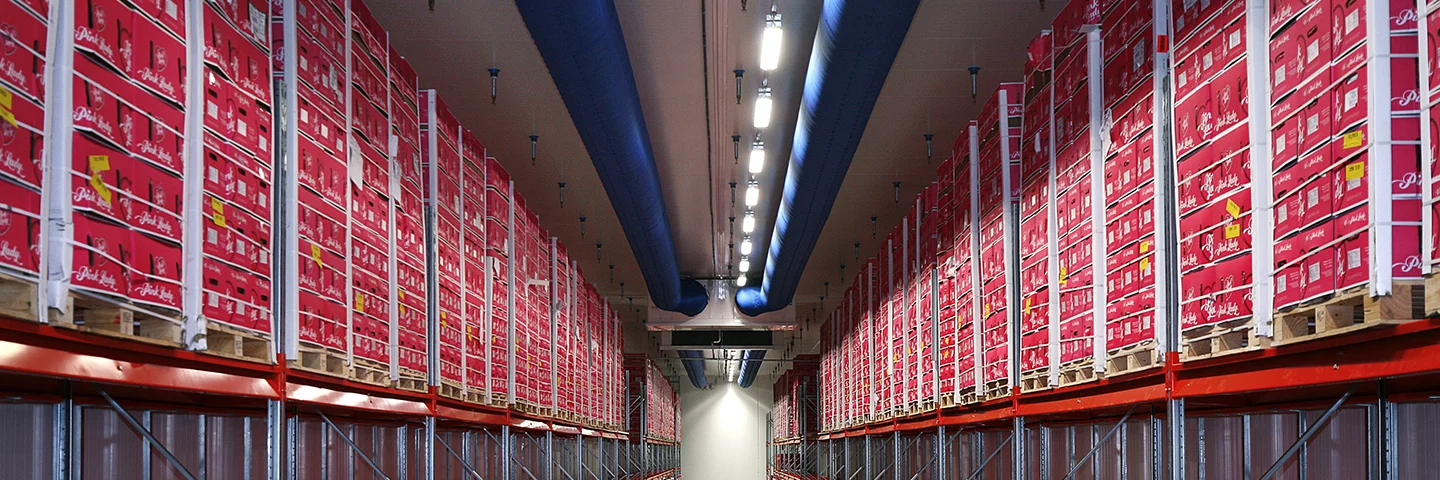 Blue industrial air ducting in Total Produce warehouse, DK