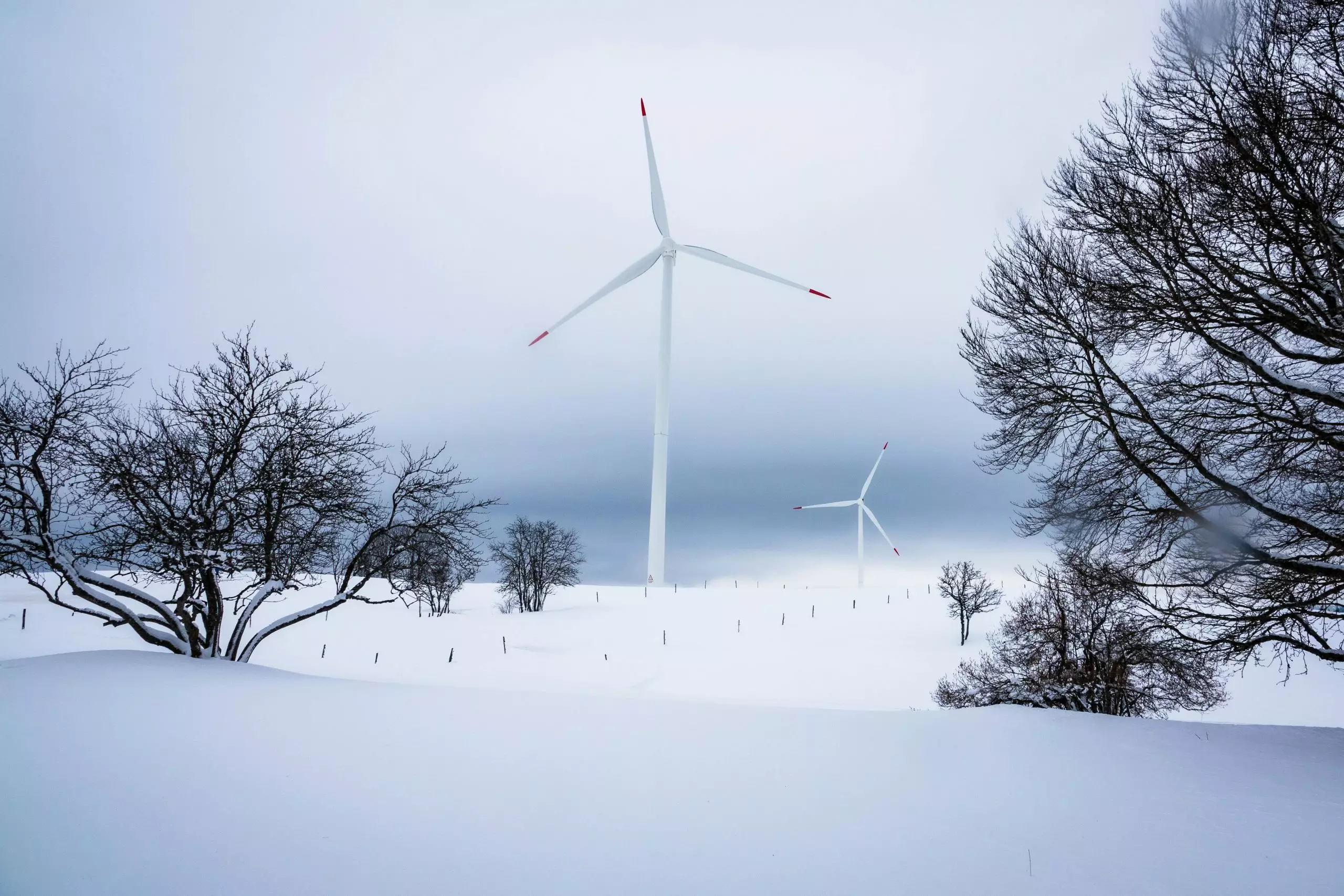 Wind turbines in the snow